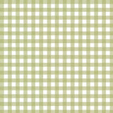Olive Olive Grove Gingham ST-DCJ3243 OLIVE by Dear Stella