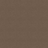 Mink Crimp # ST-DRR2293MINK by Dear Stella