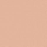 TIL130172-V11 Tilda- PoppySeed Dusty Peach