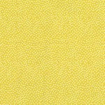 Garden Pindot CX1065-STRF-D by Michael Miller