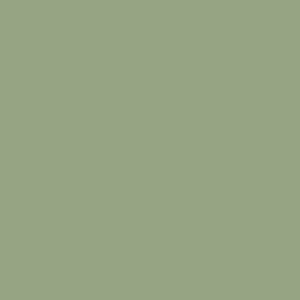 Fresh Sage PE-502 Pure Solids by Art Gallery