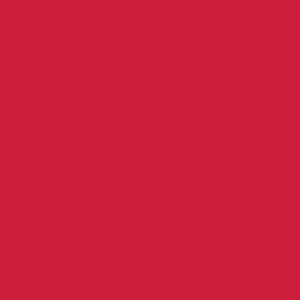Undeniably Red  PE-537  Pure Solids by Art Gallery